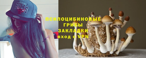 спиды Нея