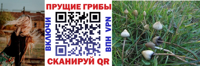 Галлюциногенные грибы MAGIC MUSHROOMS  Новочебоксарск 