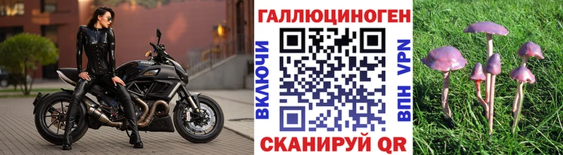 Галлюциногенные грибы мицелий Новочебоксарск