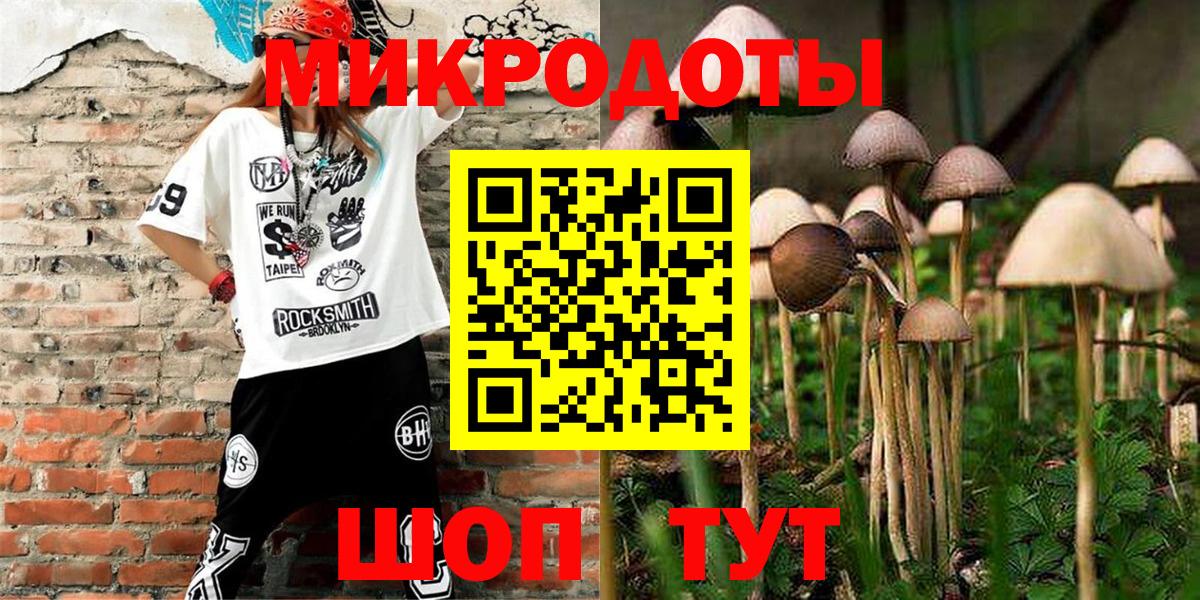 Галлюциногенные грибы Psilocybine cubensis Новочебоксарск